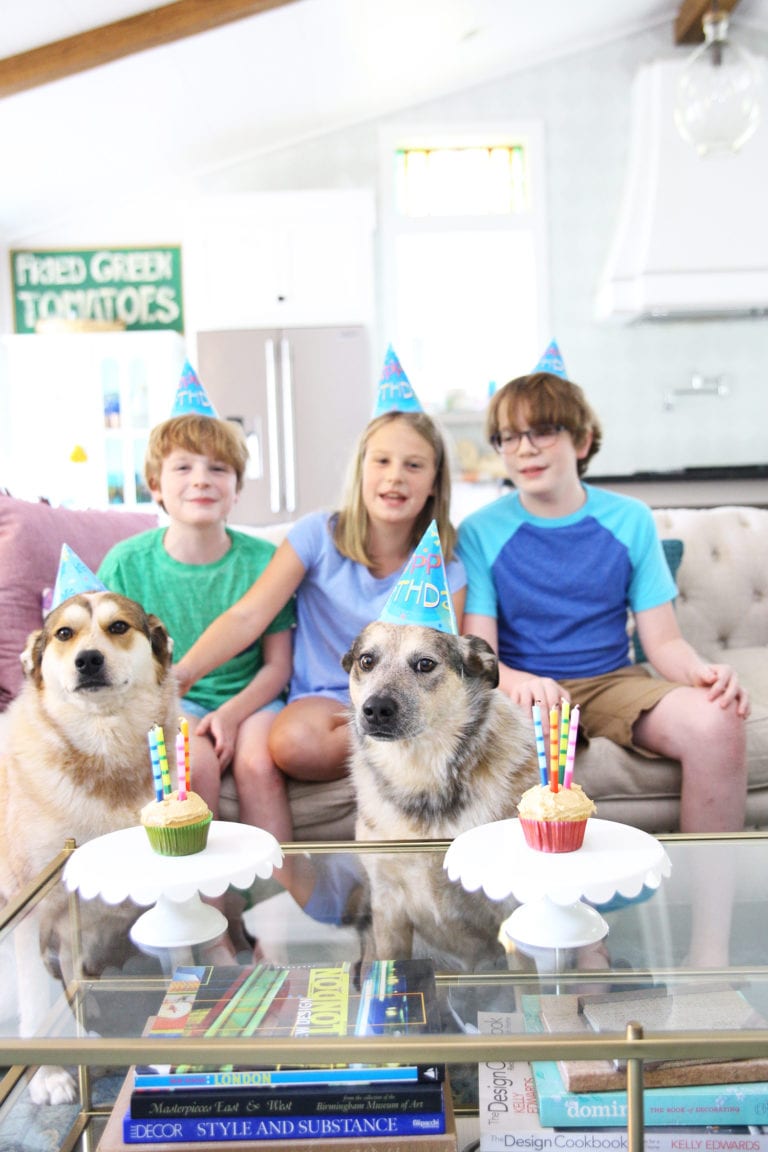 happy birthday, rigby + fitz: an honest look, four years later