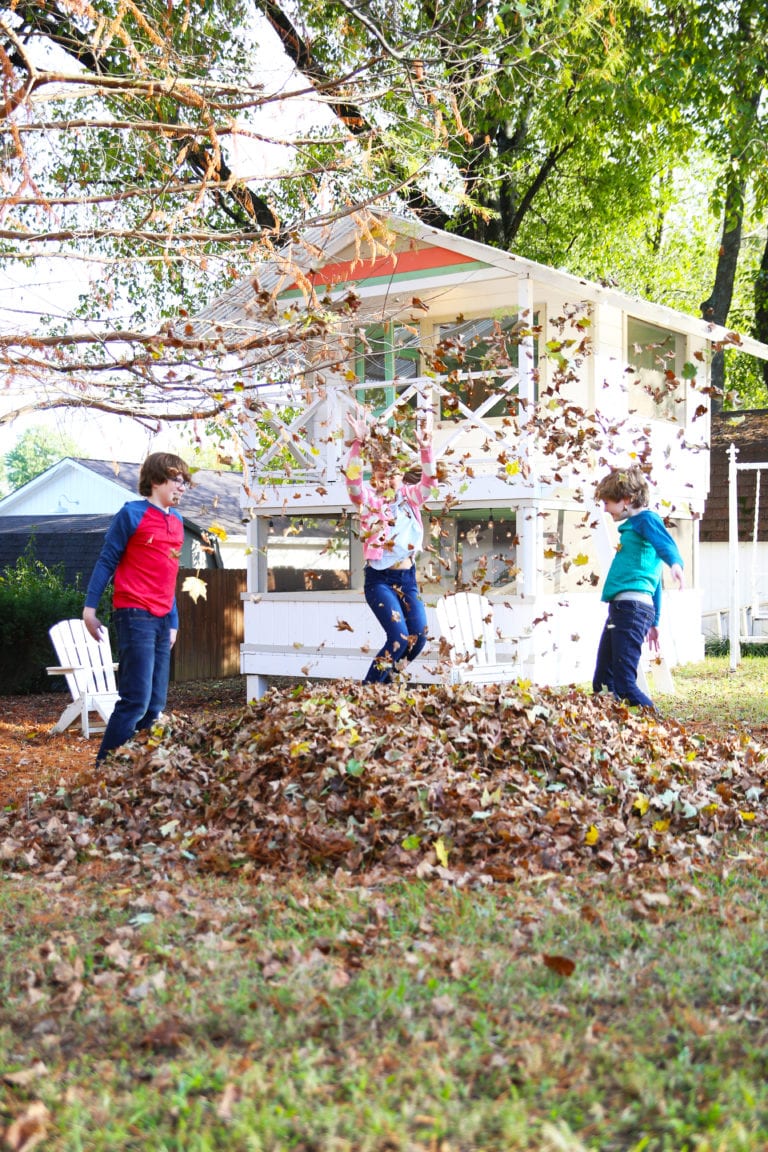 fall fun with the greenworks blower