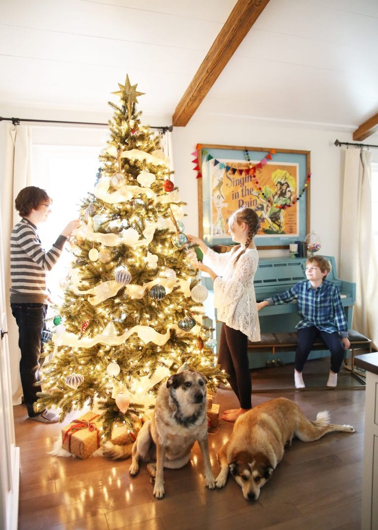 have a very merry christmas