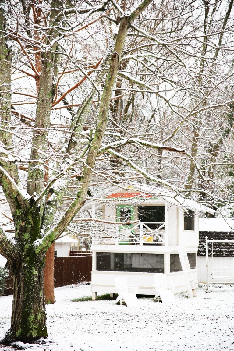the doldrums of winter