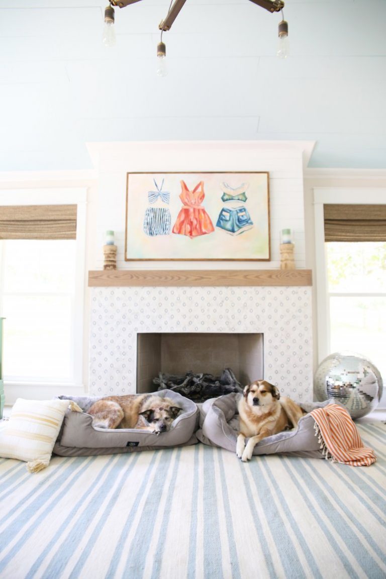 serta orthopedic dog bed + a great deal