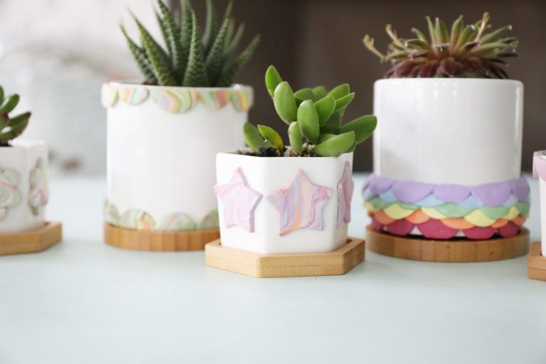 easy colorful succulent containers