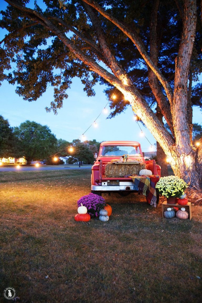 20 fun fall projects to try now