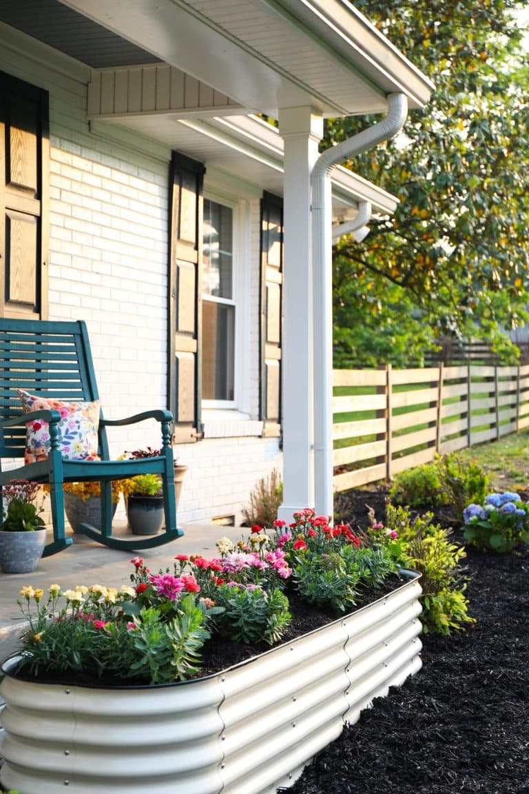 best amazon finds for the home