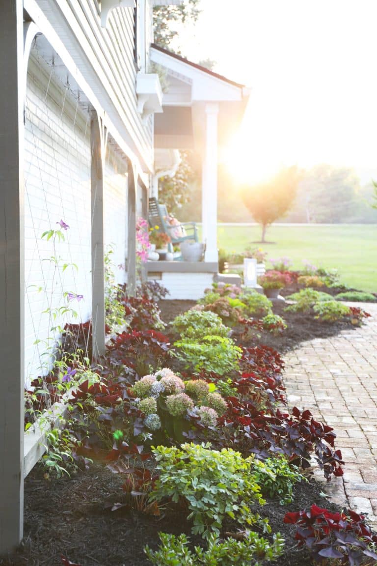 fall porch and garden