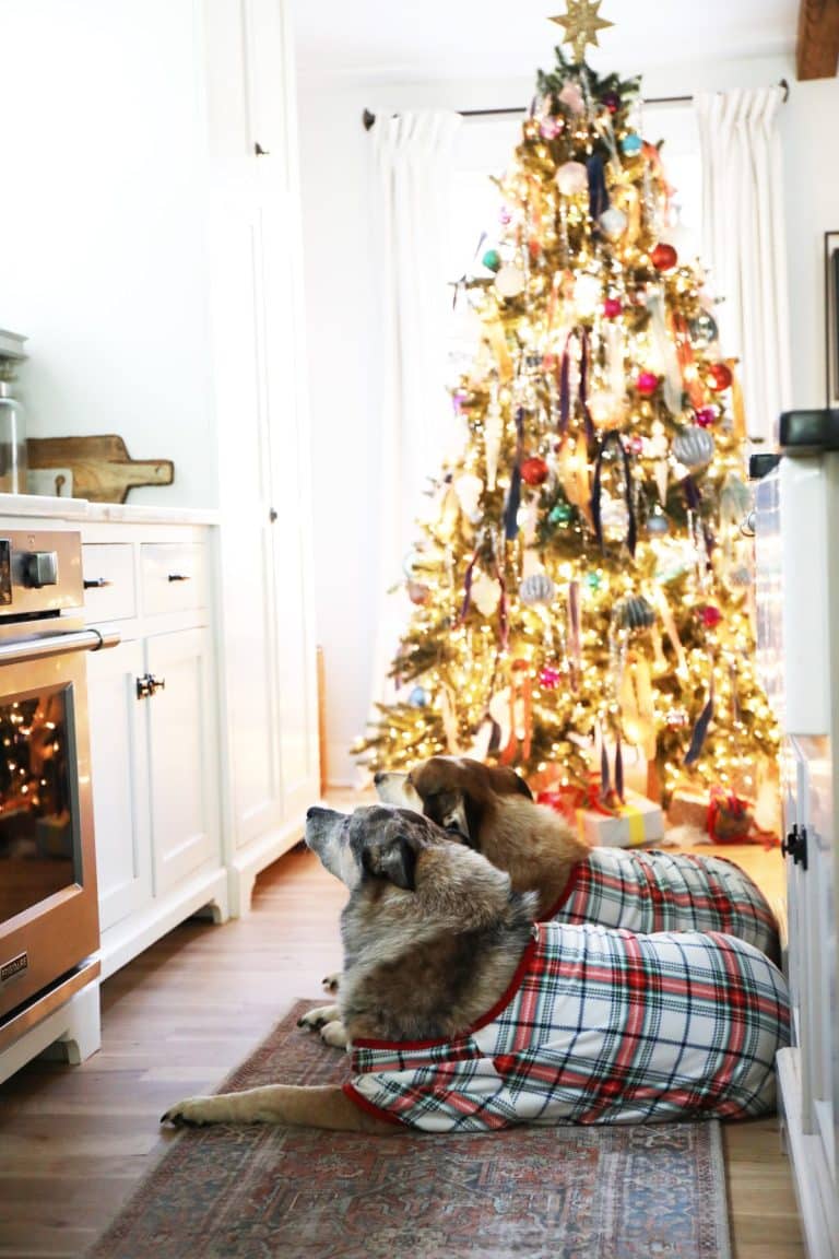 diy paw print ornaments