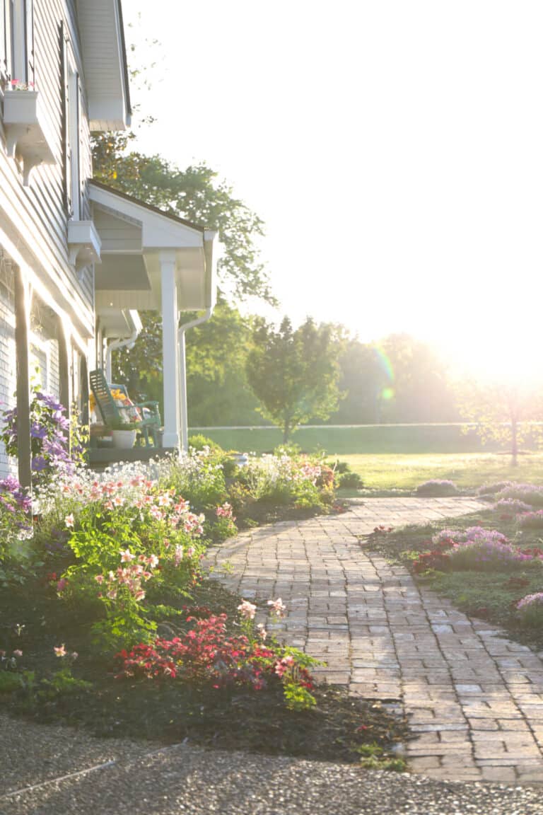 our favorite gardening finds