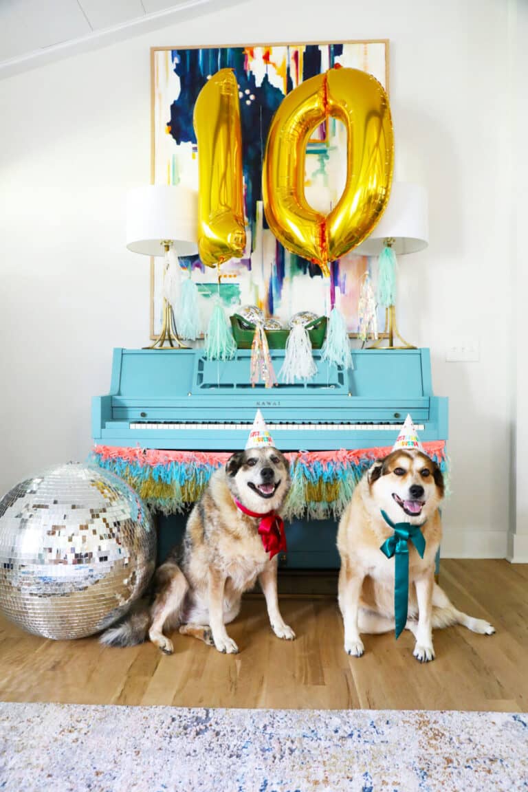 rigby + fItz are turning ten